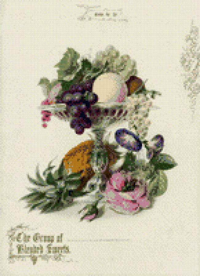 натюрморт с ананасом - предпросмотр