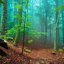 Схема вышивки «4»