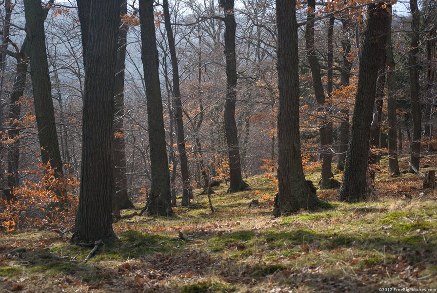 6 - оригинал