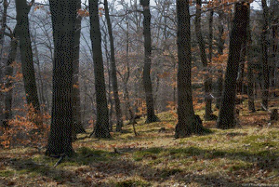 6 - предпросмотр