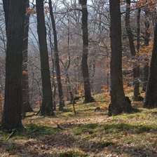 Схема вышивки «6»