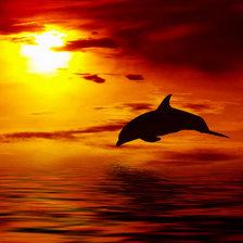 Схема вышивки «Дельфины на закате»