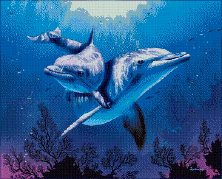 Дельфины в море - дельфин, море - предпросмотр