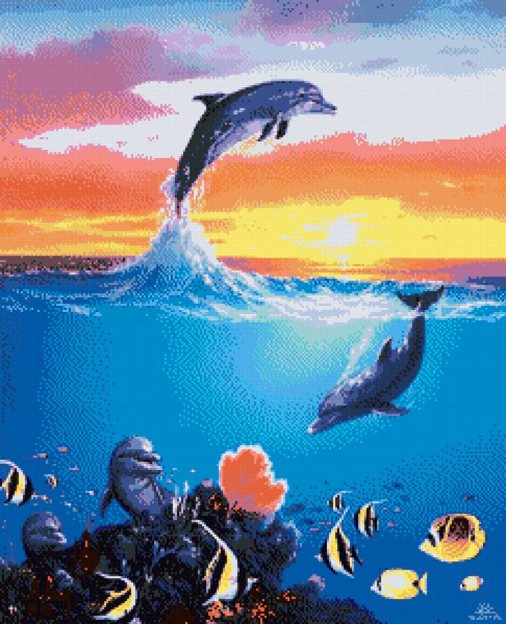 дельфины рыбы - дельфины, море, рыбы - предпросмотр