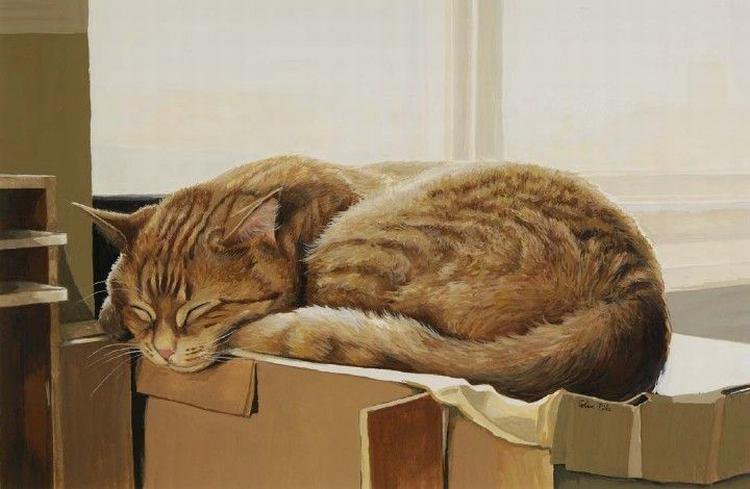 сладкий сон - спящий, кот, коты, котики - оригинал