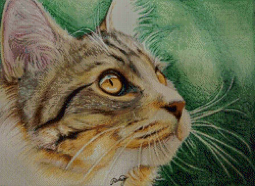 Кошачий взгляд - животные, глаза, кот, кошка - предпросмотр