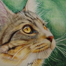 Схема вышивки «Кошачий взгляд»