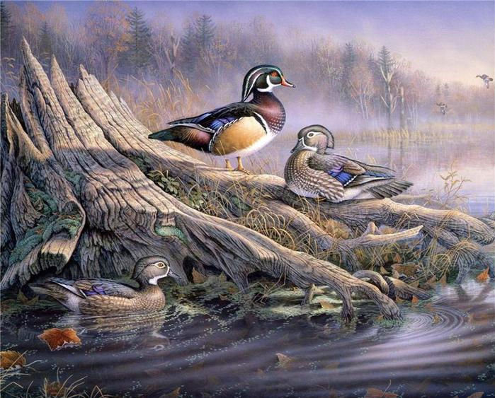 №694964 - утки - оригинал