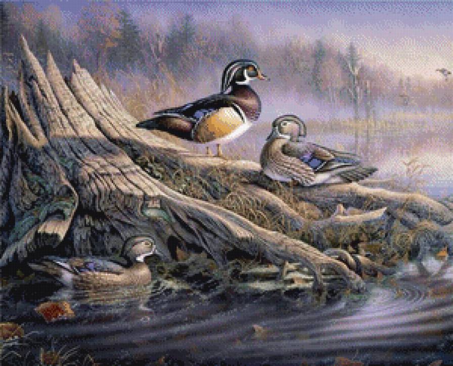 №694964 - утки - предпросмотр