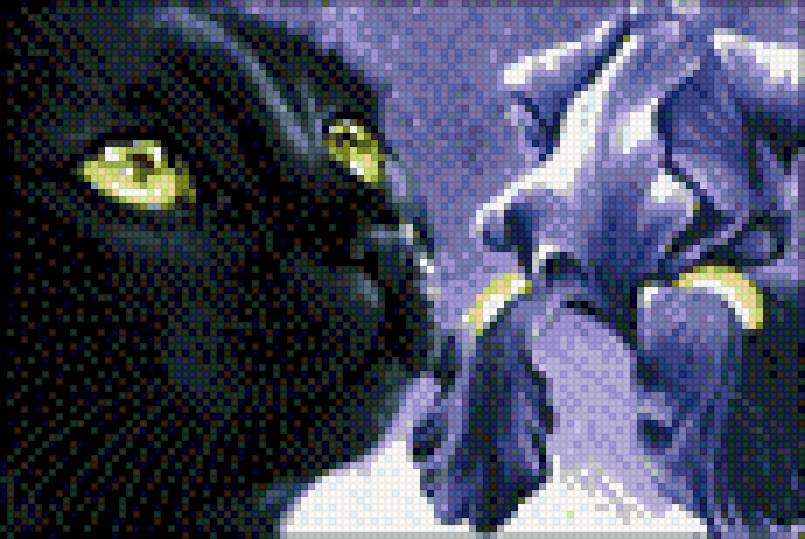 Кошка - кошки - предпросмотр