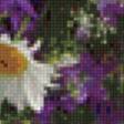 Предпросмотр схемы вышивки «№695050»
