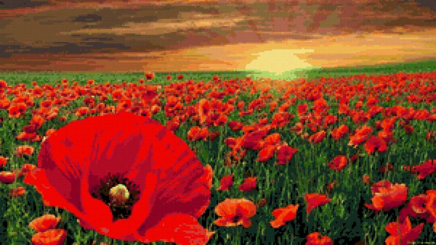 №695268 - предпросмотр