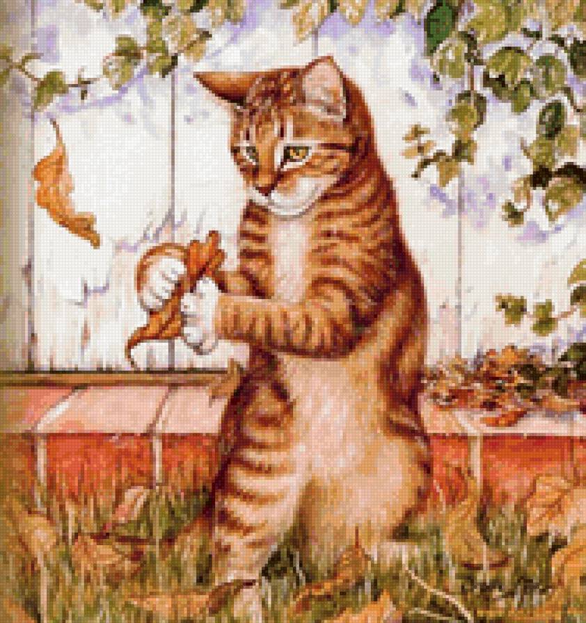 Кот - животные, кошки - предпросмотр