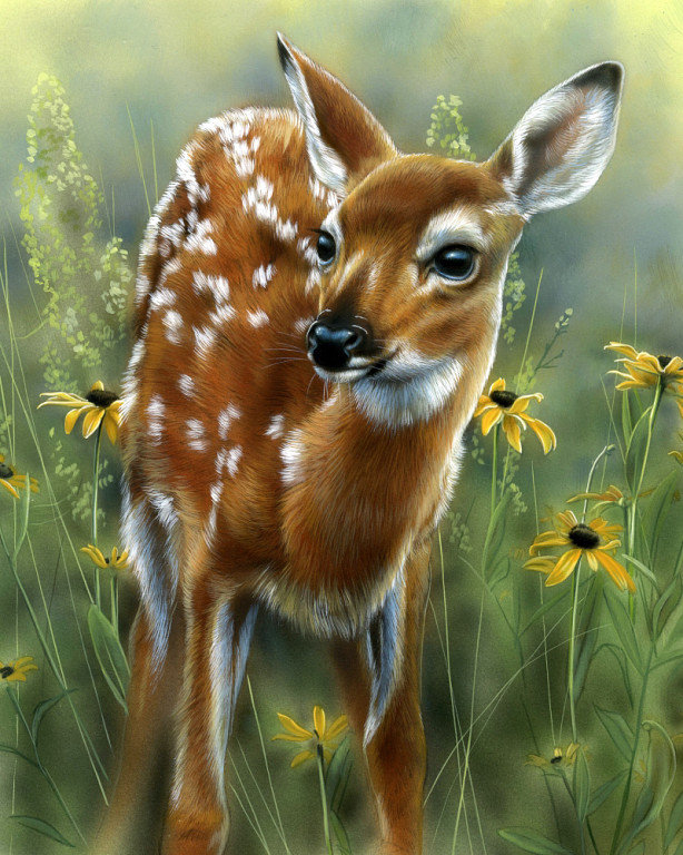 Олененок - оригинал