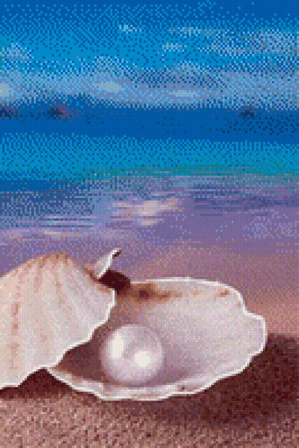 Жемчужина - закат, море, жемчужина, ракушка, морские животные - предпросмотр
