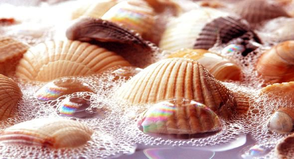 №695590 - оригинал