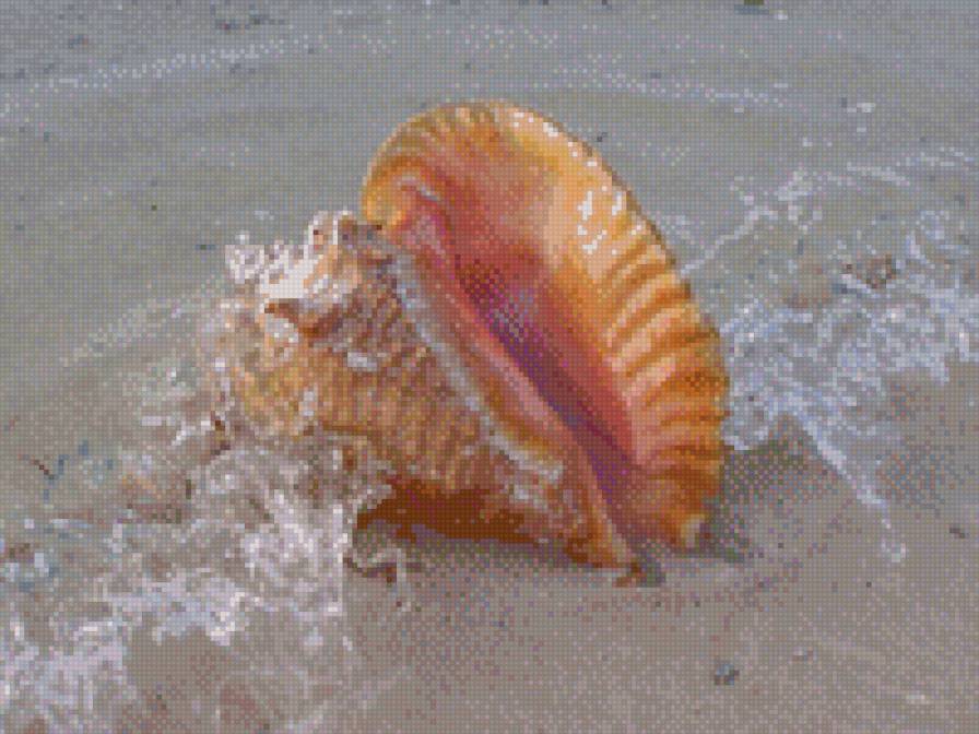 №695602 - предпросмотр