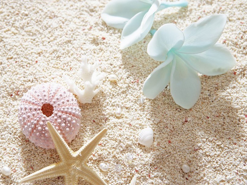 №695606 - оригинал