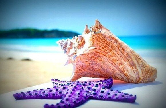 №695613 - оригинал