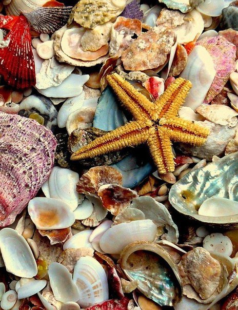 №695630 - оригинал