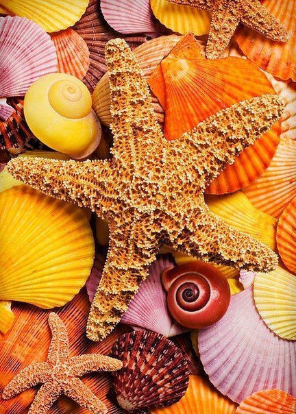 №695640 - оригинал