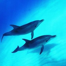 Схема вышивки «№695675»