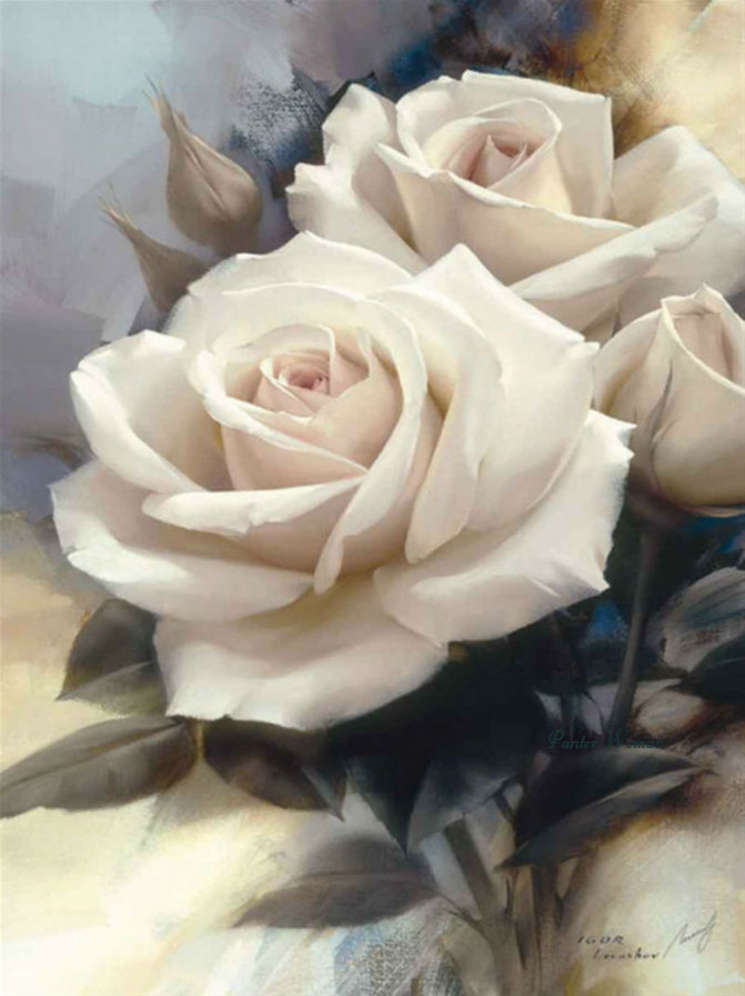 белые розы - нежность, розы, букет, цветы, красота - оригинал