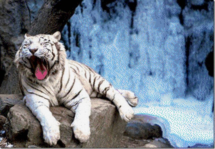 тигр - животные - предпросмотр