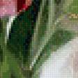 Предпросмотр схемы вышивки «нежные тюльпаны» (№695686)