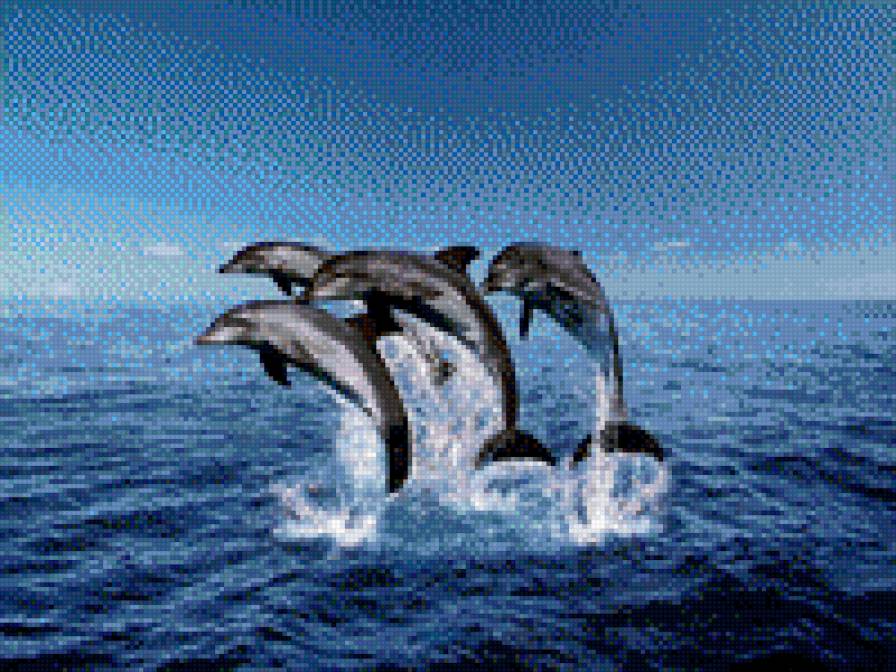 №695703 - предпросмотр