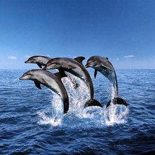 Схема вышивки «№695703»