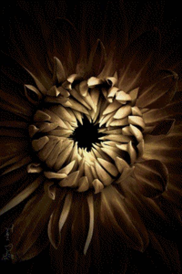 Миг - серия цветы - предпросмотр