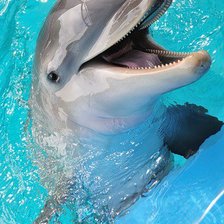 Схема вышивки «№695706»