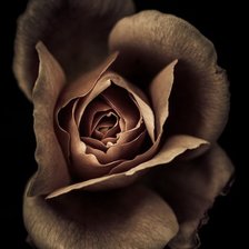 Схема вышивки «Таинство»