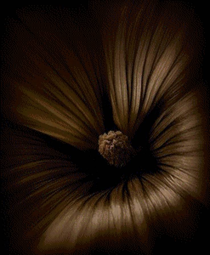 Мерцание - серия цветы - предпросмотр