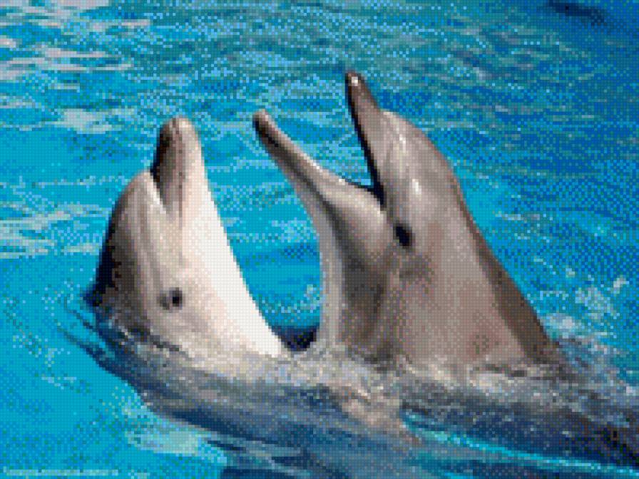 №695734 - предпросмотр