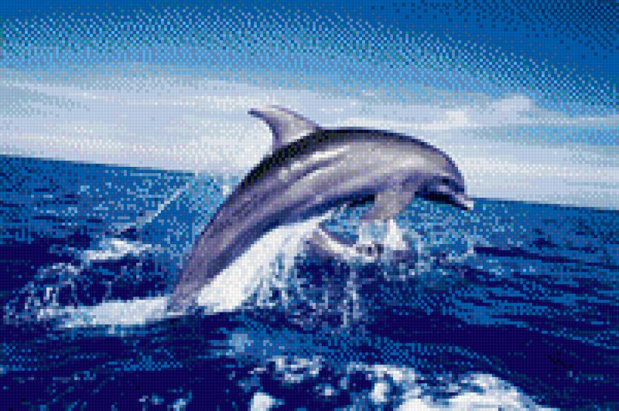 №695751 - предпросмотр