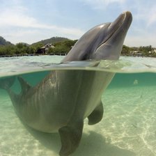 Схема вышивки «№695762»