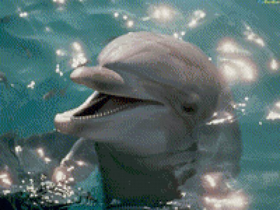 №695773 - предпросмотр