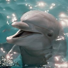 Схема вышивки «№695773»