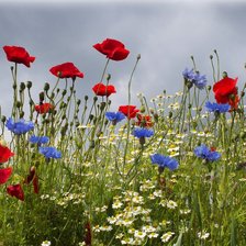 Схема вышивки «№695778»