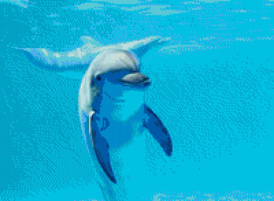 №695782 - предпросмотр