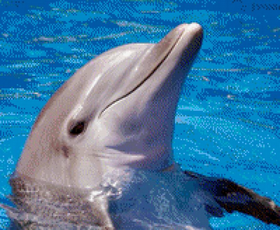 №695794 - предпросмотр