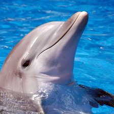 Схема вышивки «№695794»