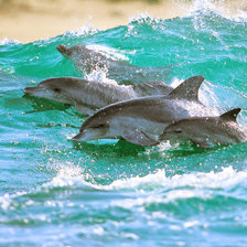 Схема вышивки «№695795»