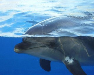 №695797 - оригинал