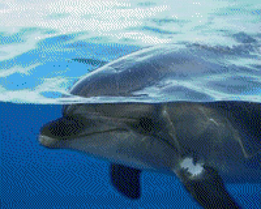 №695797 - предпросмотр