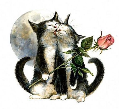 Котики - оригинал