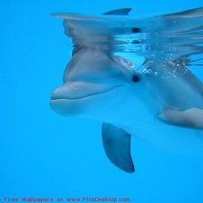 Схема вышивки «№695922»