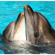 Схема вышивки «№695923»